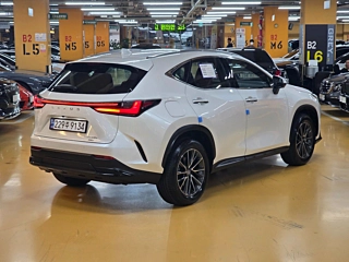 Заказать LEXUS NX450H+
