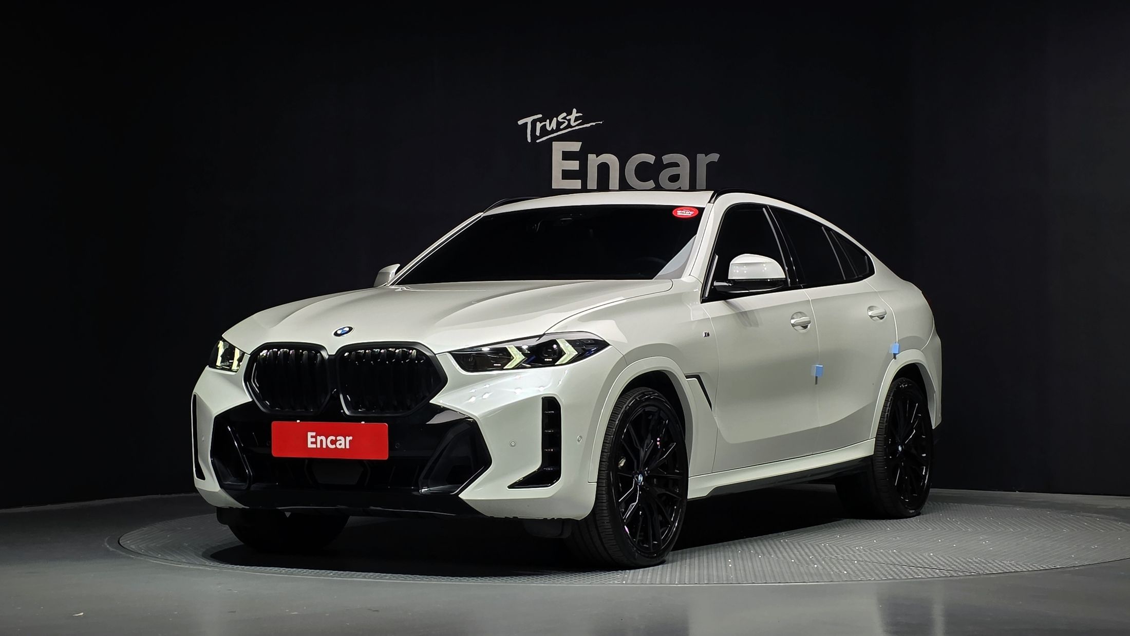 Аукционный лист BMW X6 G06 2025