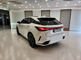 Заказать LEXUS RX500H
