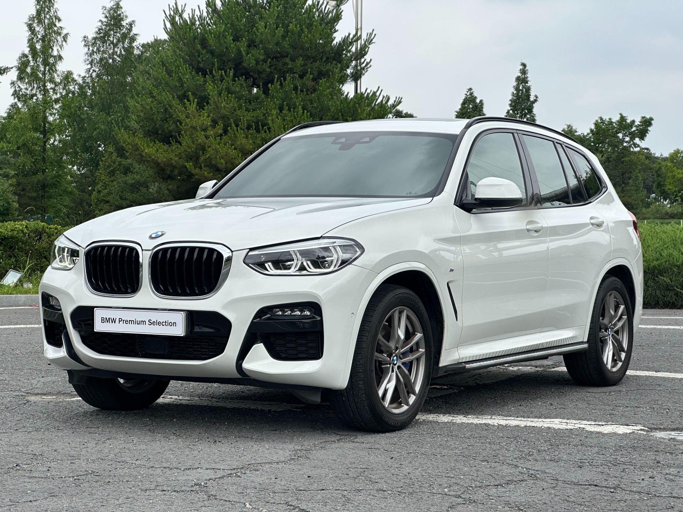 BMW X3 G01 2021