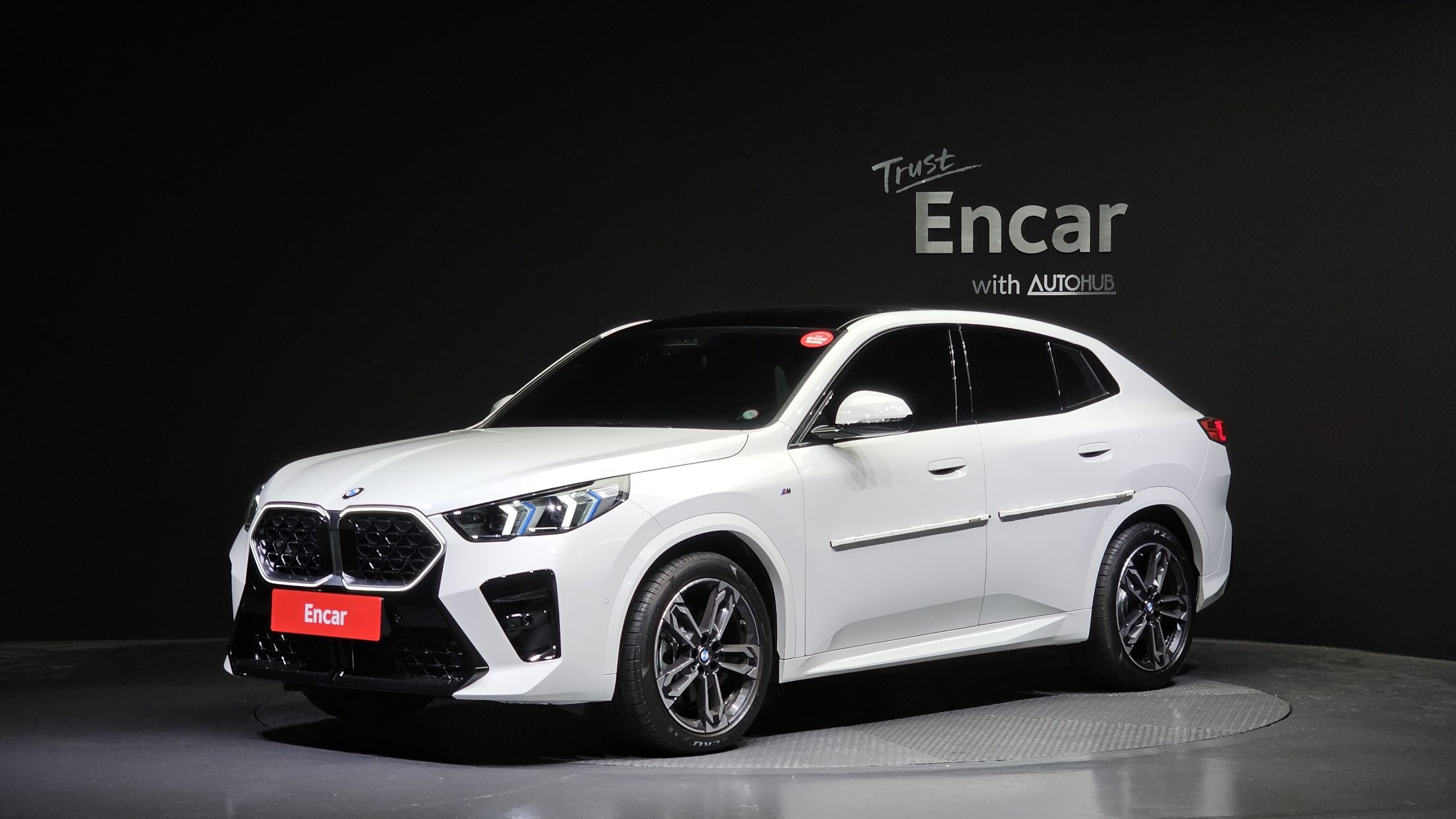 BMW X2 F39 U10 2024