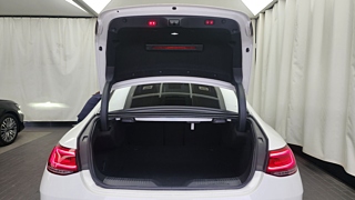 MERCEDES BENZ CLS-CLASS C257 2019