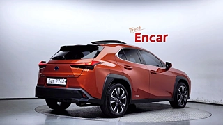 LEXUS UX250H 2019