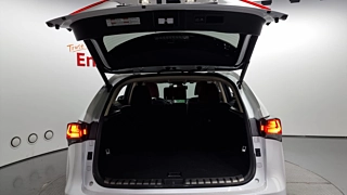 LEXUS NX300H 2021