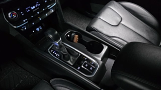 HYUNDAI SANTAFE TM 2019
