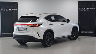 LEXUS NX350H 2024