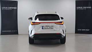 LEXUS NX350H 2024