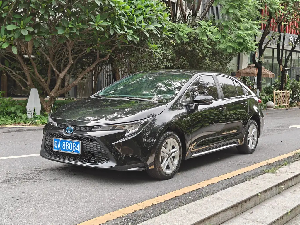 TOYOTA RALINK
