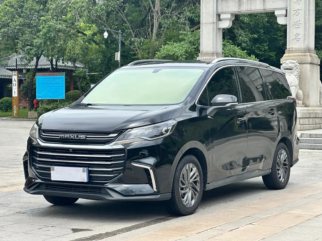MAXUS OTHER 2019