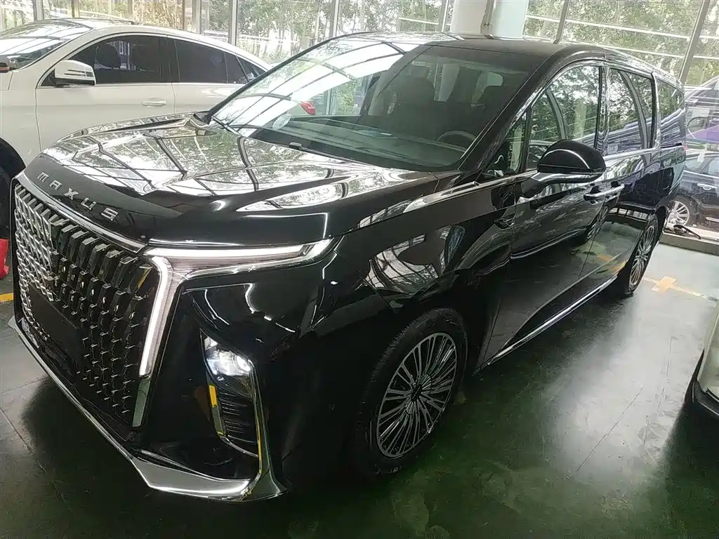 MAXUS OTHER 2024