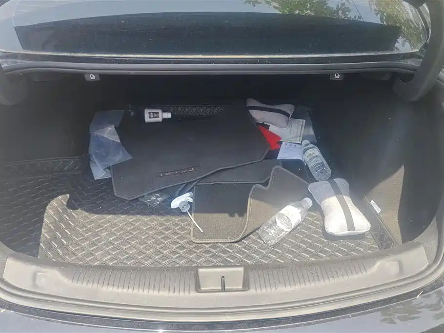 BUICK REGAL 2024