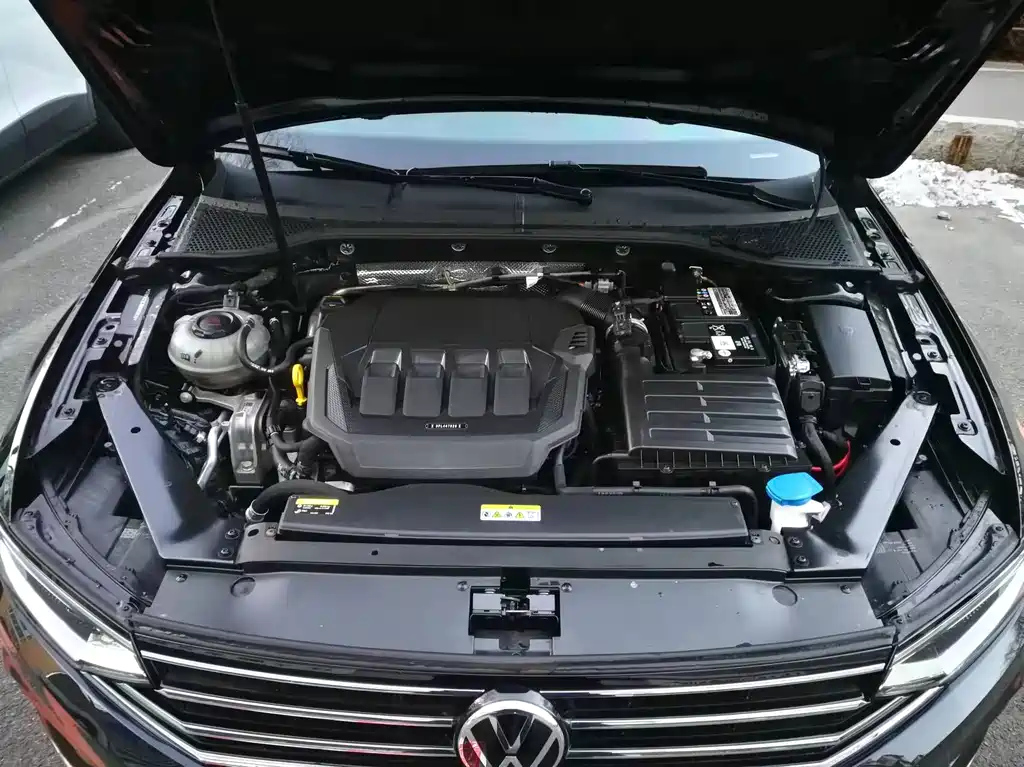 VOLKSWAGEN MAGOTAN 2021