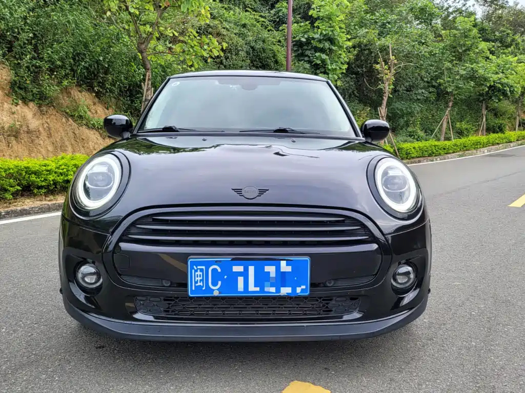 MINI OTHER 2021