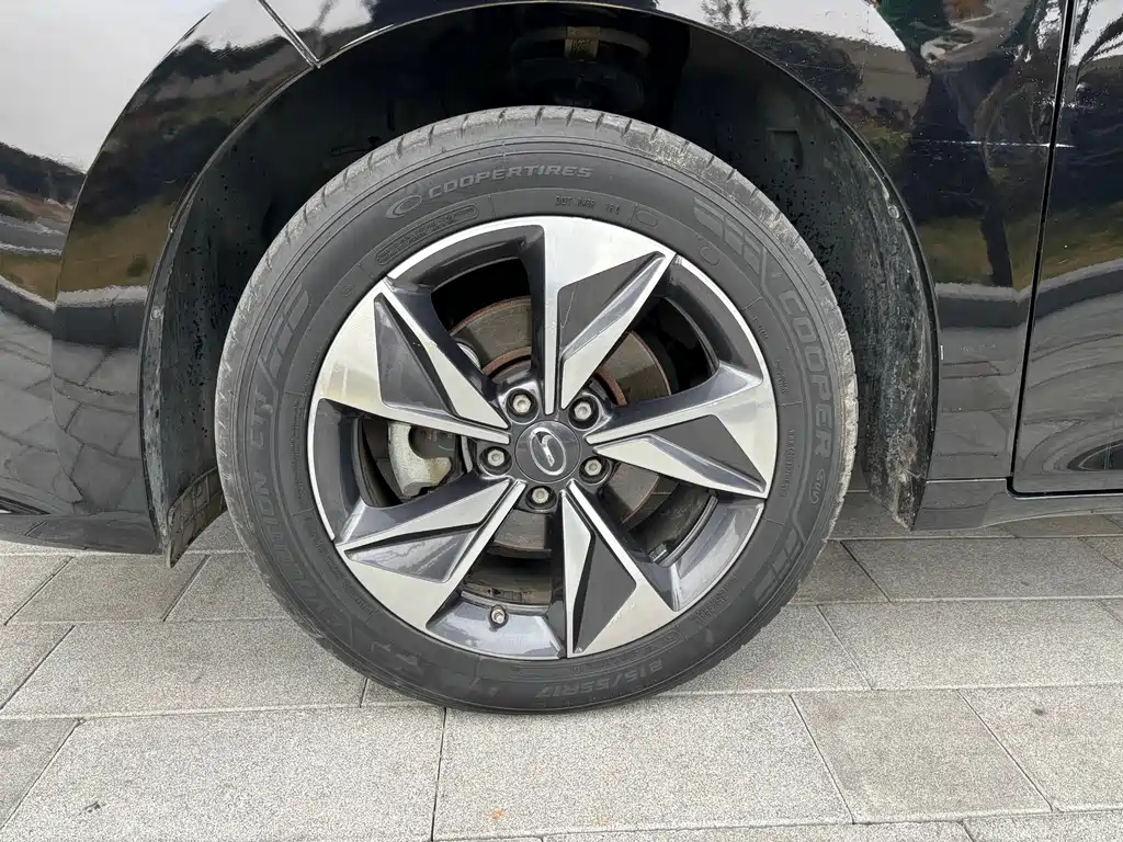 TRUMPCHI M6 2021