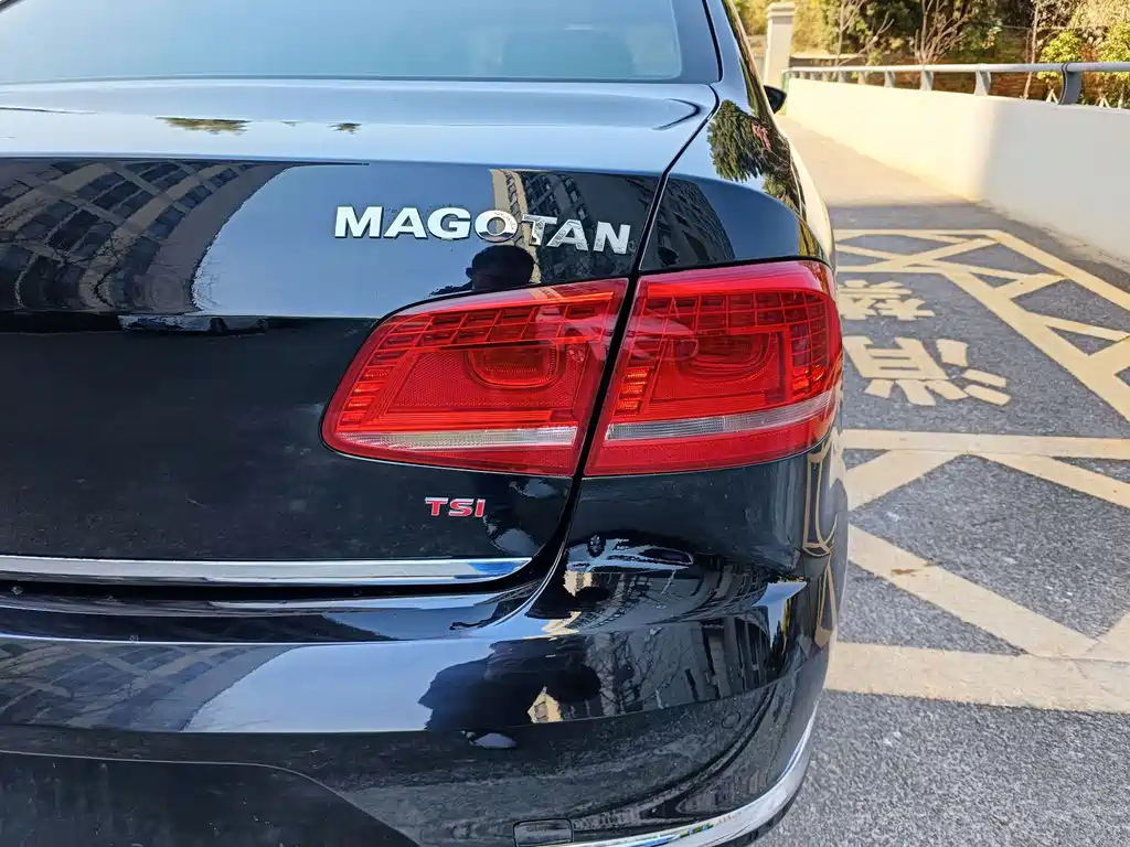 VOLKSWAGEN MAGOTAN 2014