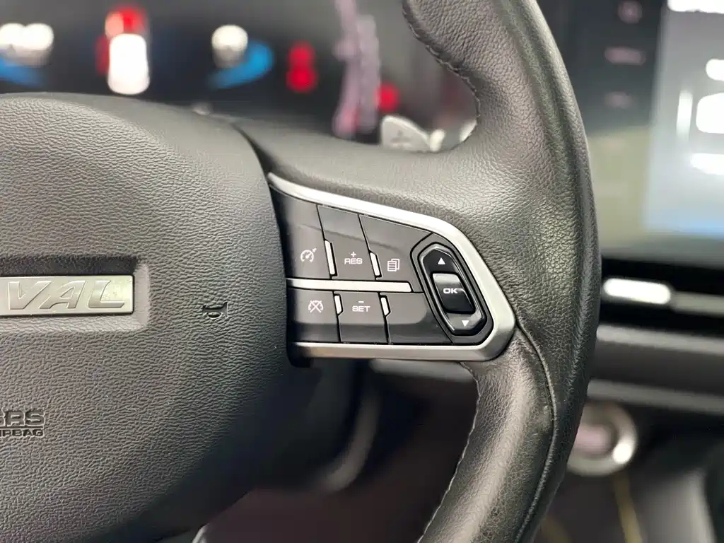 HAVAL F7X 2019