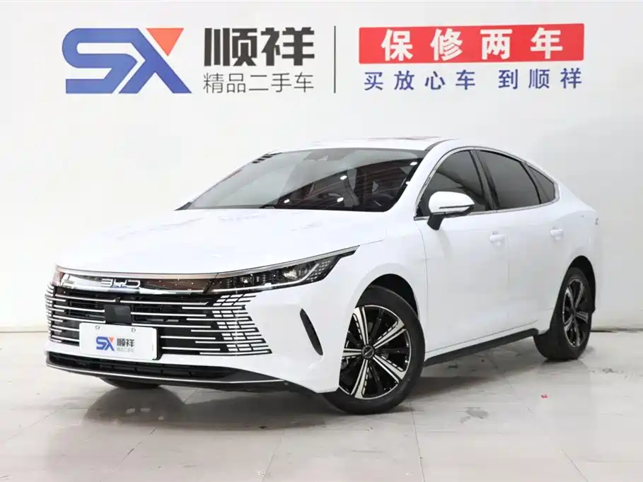 BYD DESTROYER 05 2022