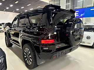 TANK 700 NEW ENERGY  2024 YEAR HI4-T &#26497;&#22659; EDITION 2024