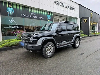 TANK 300 2021 YEAR EDITION 2.0T 2021