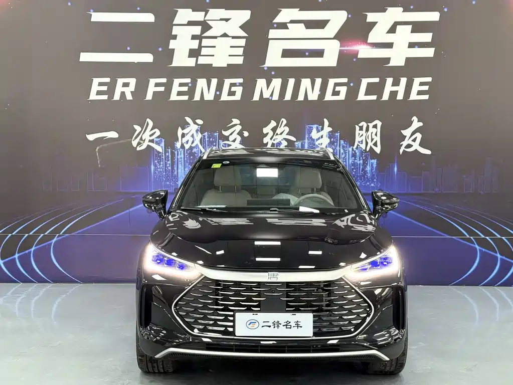 BYD TANG NEW ENERGY 2025