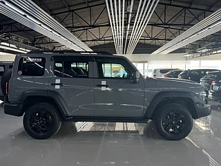 TANK 300 2021 YEAR EDITION 2.0T 2021