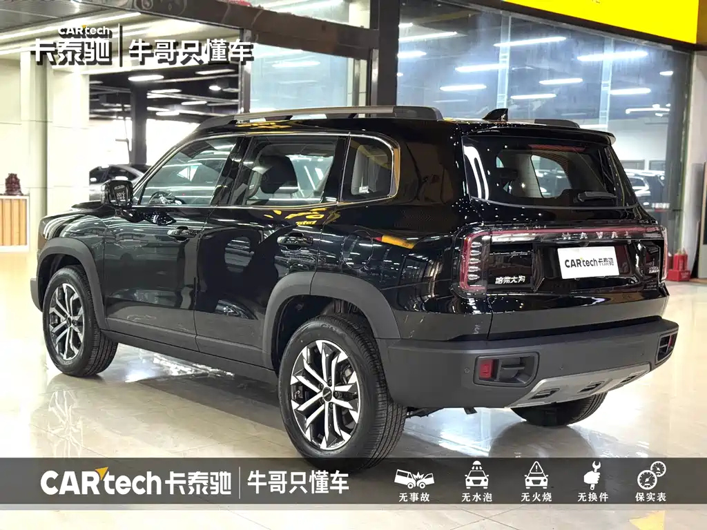HAVAL BIG DOG 2024