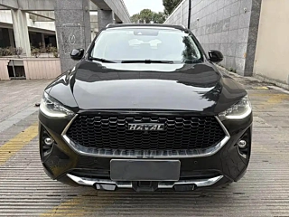 HAVAL F7X  2019