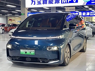 Заказать LEVC L380