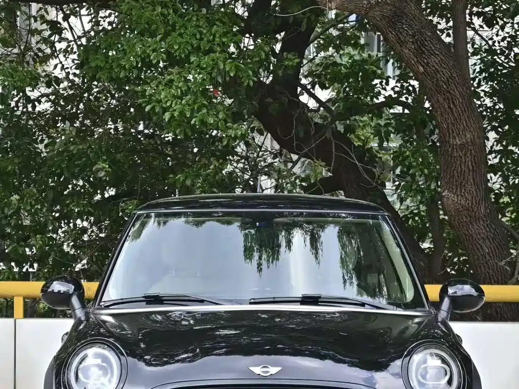 MINI OTHER 2012