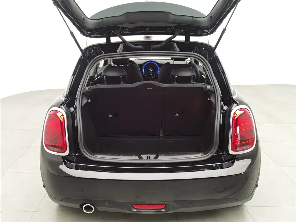 MINI OTHER 2021