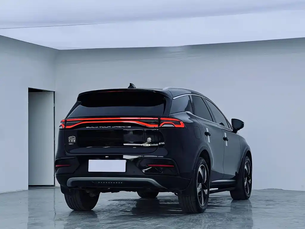 BYD TANG NEW ENERGY 2023