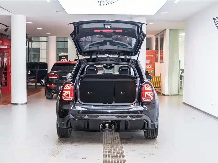MINI OTHER 2021