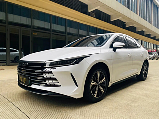 BYD DESTROYER 05 2024
