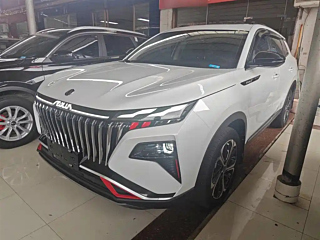 dongfeng other