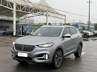 wey vv6