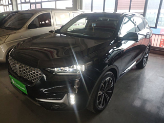 wey vv6