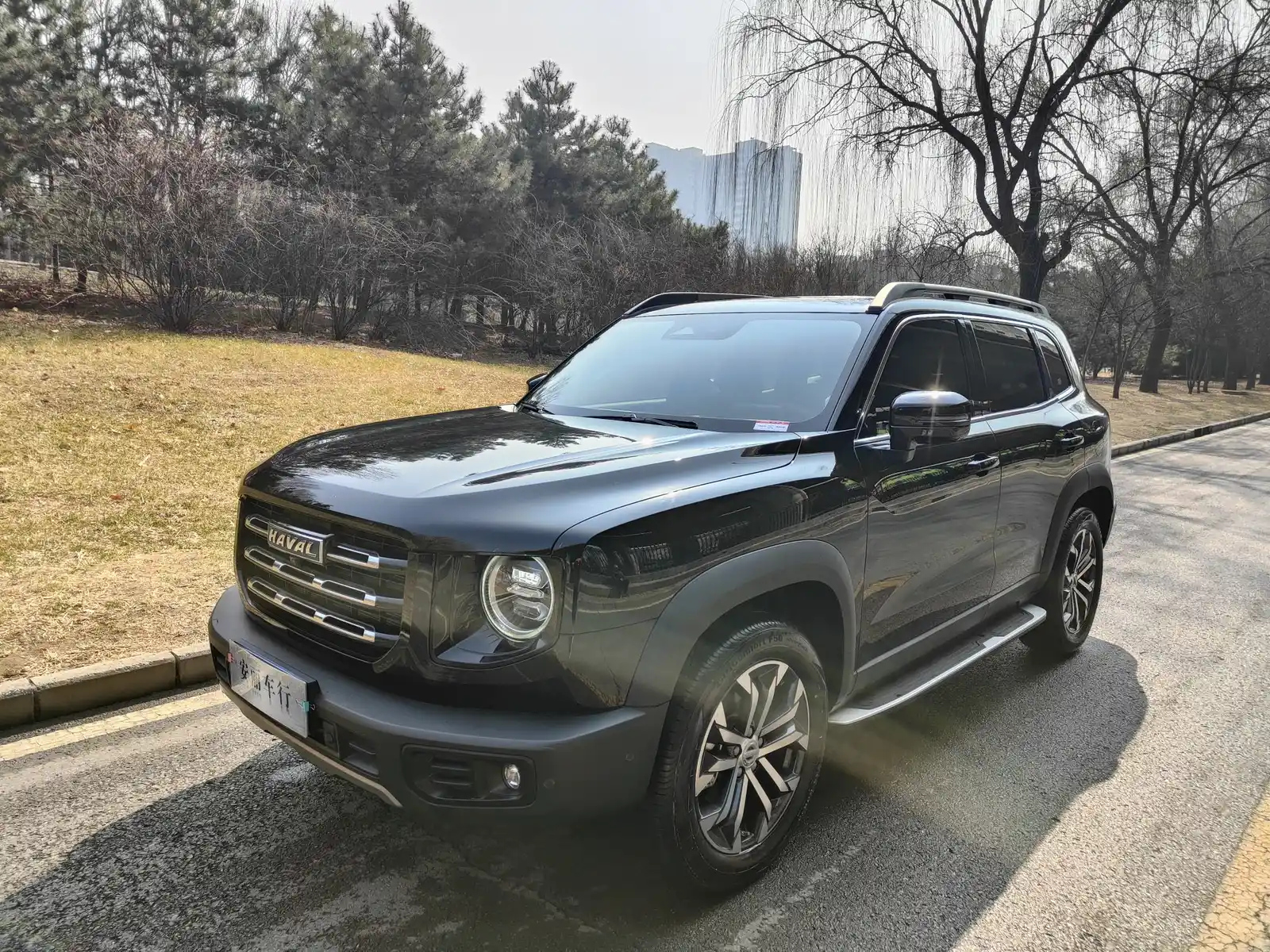 HAVAL DARGO