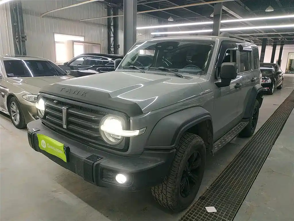 TANK 300