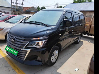 dongfeng lingzhi