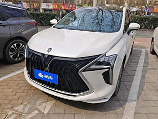 dongfeng other