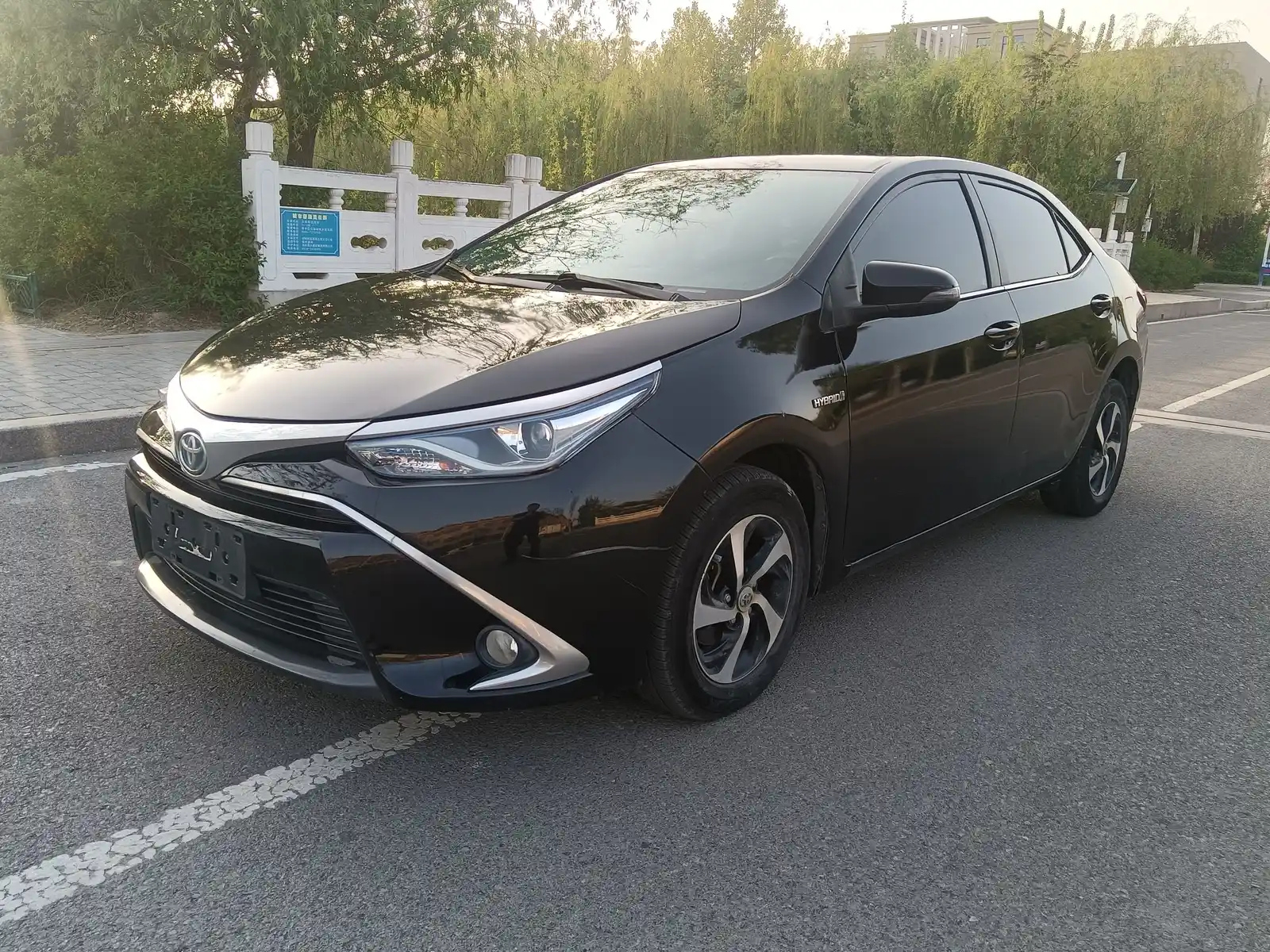 TOYOTA RALINK