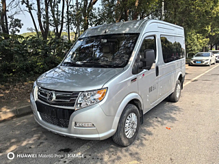 dongfeng other