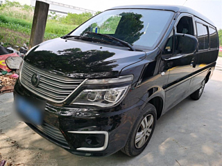 dongfeng lingzhi