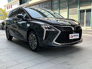 dongfeng other