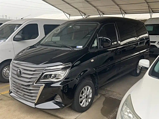 dongfeng lingzhi