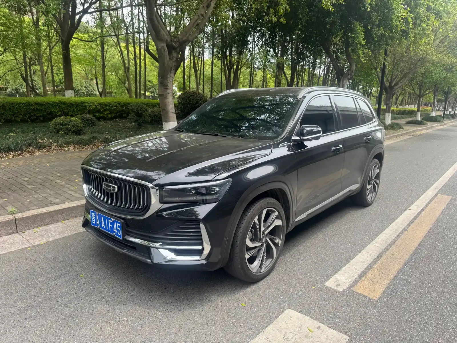 GEELY AUTO MONJARO