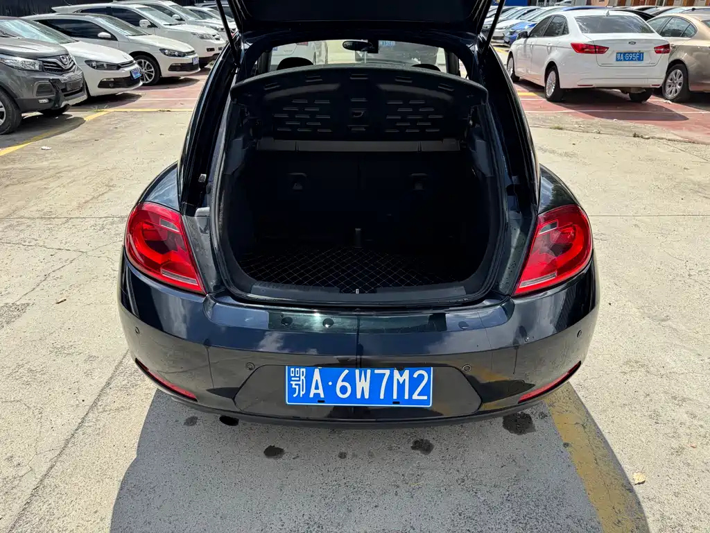 VOLKSWAGEN BEETLE 2014