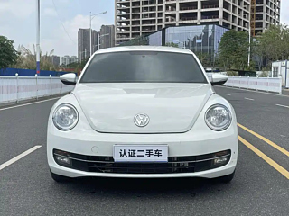 VOLKSWAGEN BEETLE  2015