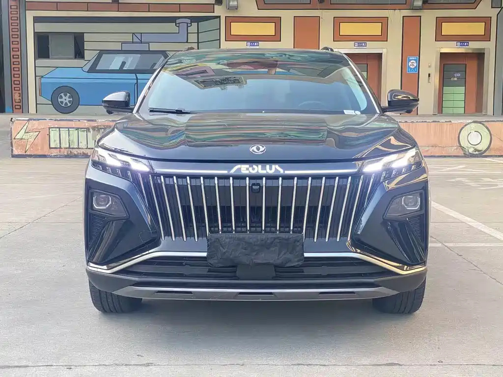 DONGFENG OTHER 2022