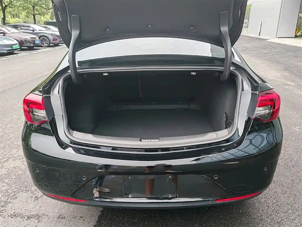 BUICK REGAL 2019